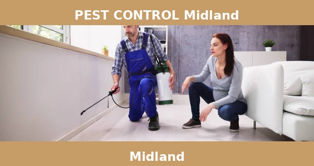 PEST CONTROL Midland